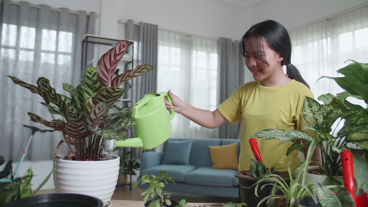Gadis Asia Menyiram Tanaman Rumah di Ruang Tamu