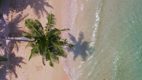 Man-swinging-on-palm-tree-on-Koh-Kood-beach-over-sea-waves,-Thailand