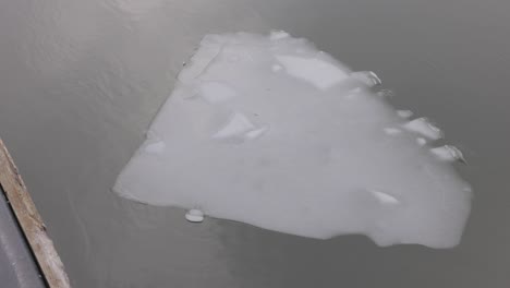 breaking ice floats over river in stockholm, sweden