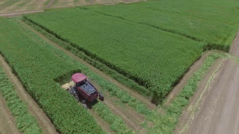 vista aérea inclinada hacia abajo de un campo de maíz