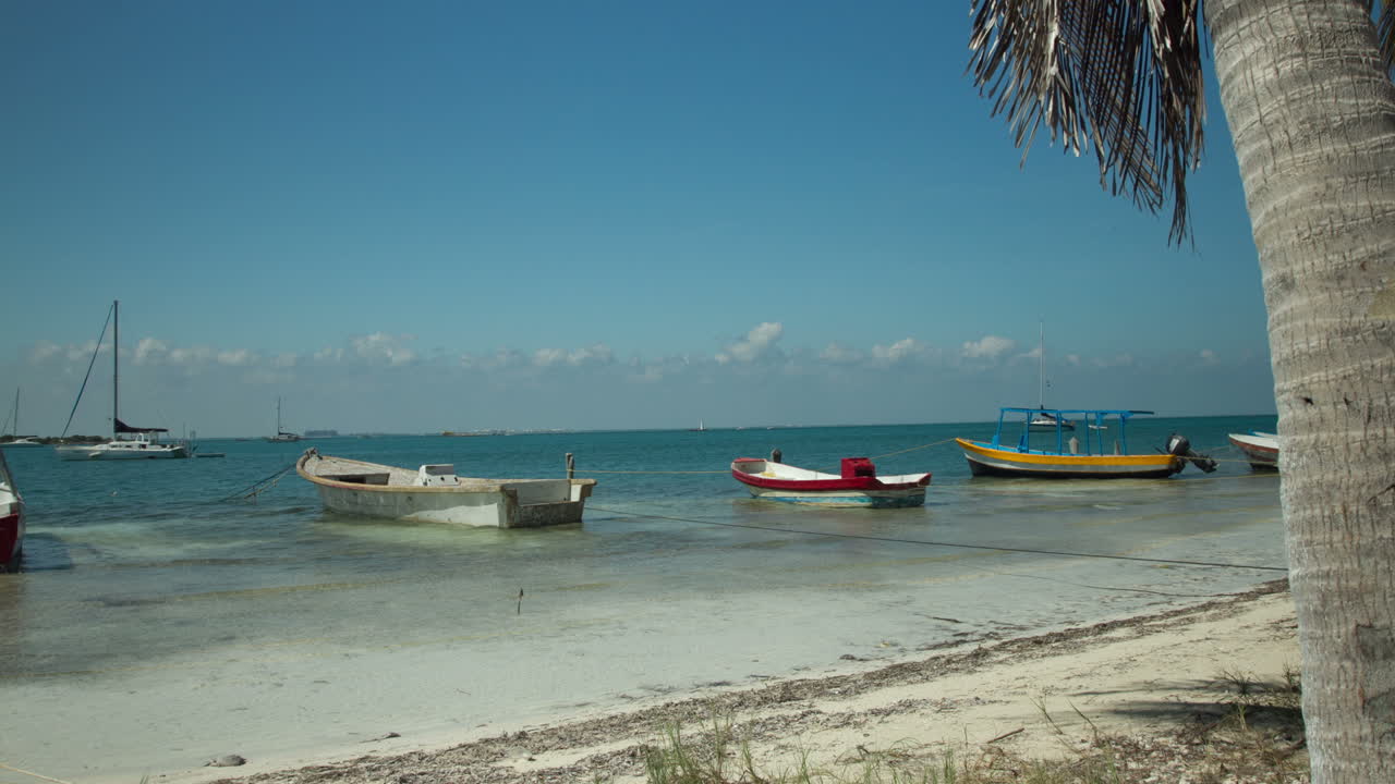 이슬라 보트 dp 00