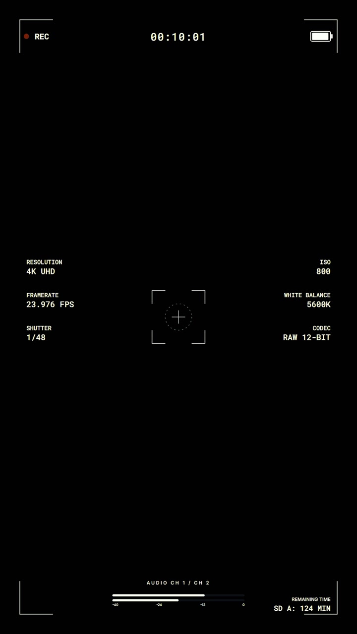 Digital Camera Recording Interface Overlay