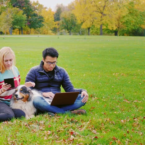 friends relaxing on the lawn in the park 2