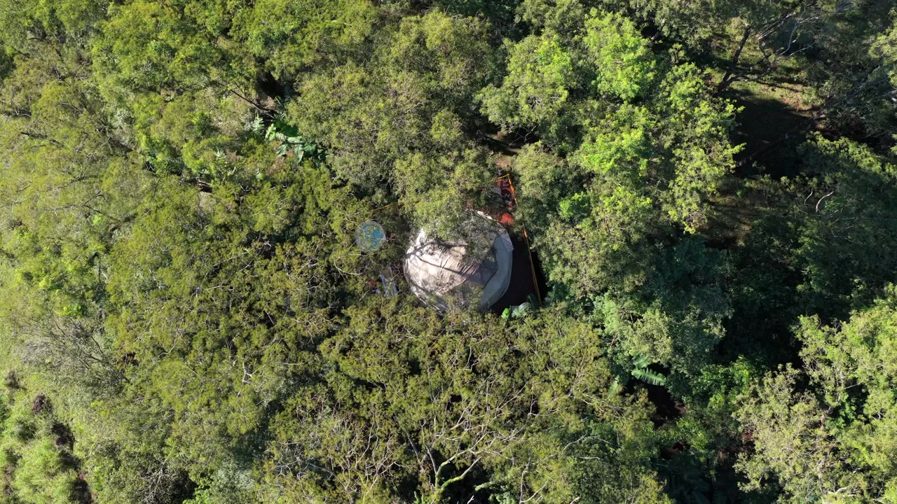 Una cúpula de glamping anidada bajo un denso dosel forestal. Ideal para imágenes de ecoturismo o contenido centrado en la naturaleza
