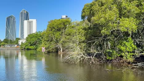 peaceful river scene with city skyline