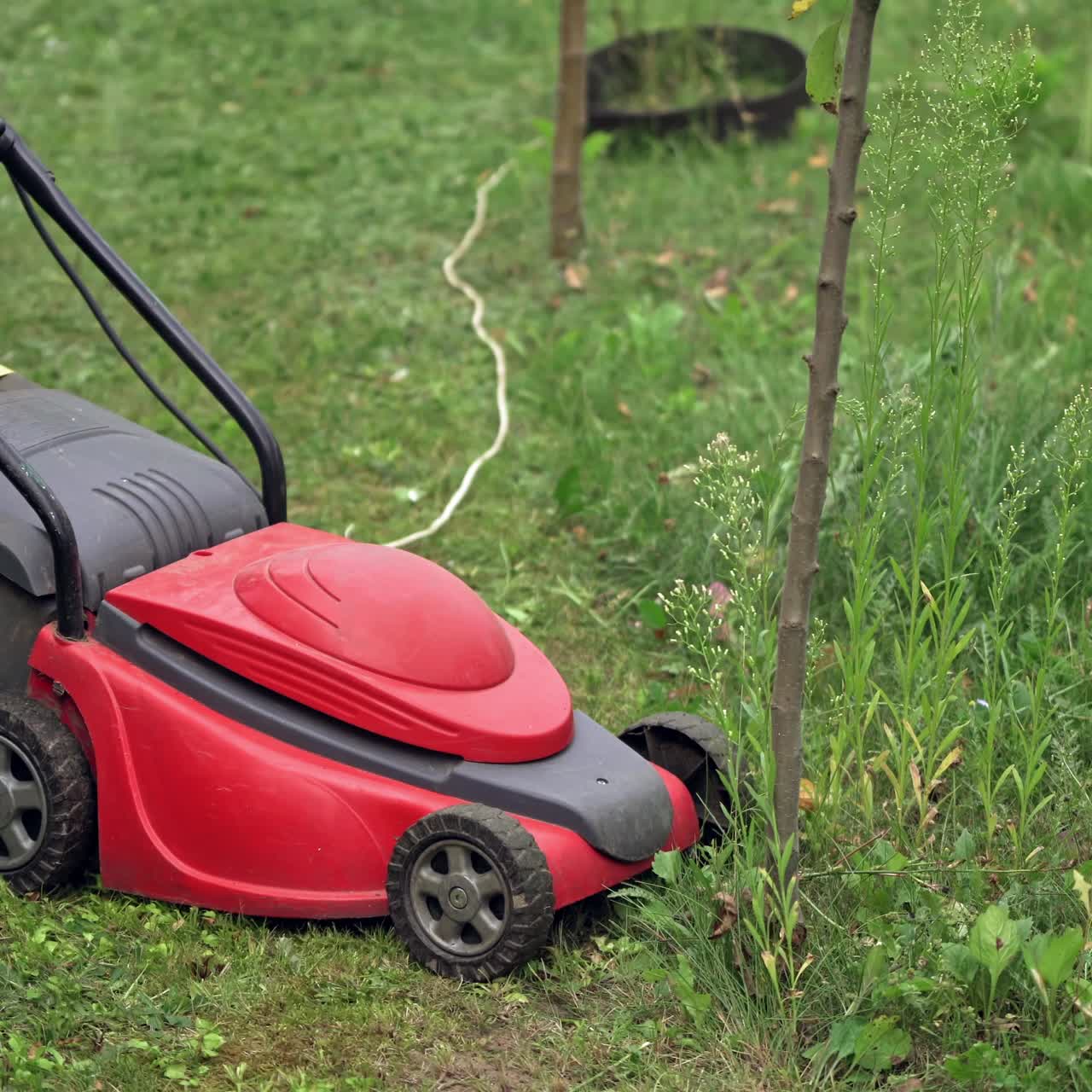 lawn mower at work on a green meadow at summertime