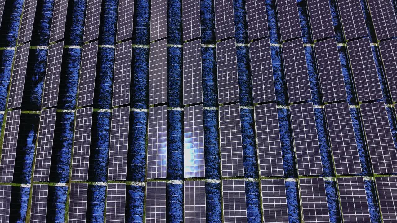 Pannelli solari coprono il terreno in un campo di energia verde durante le ore di luce solare.