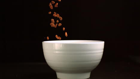 chocolate rice cereal falling in a bowl