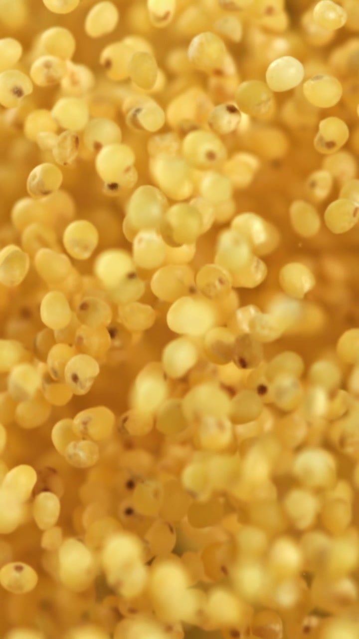 Ripresa macro di chicchi di miglio giallo fluttuanti al rallentatore
