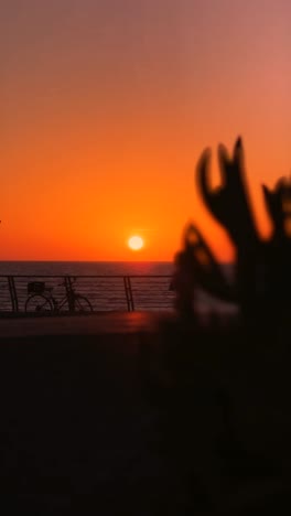 the arrival of the sunset over the sea and people walking