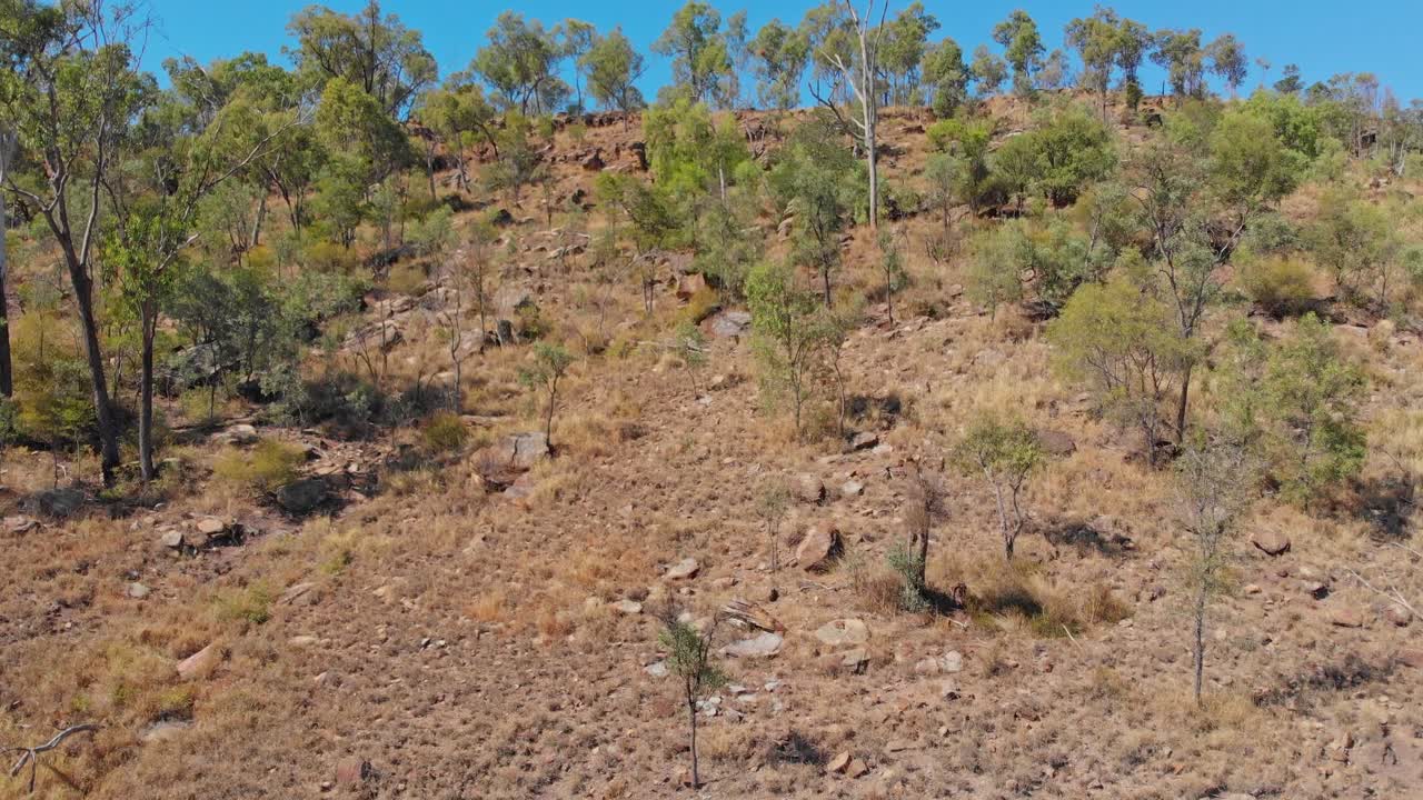 Landcruiser nella boscaglia del fiume MacKenzie, Queensland, Australia