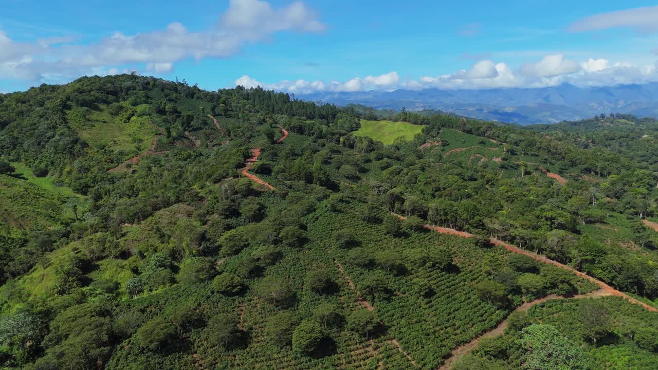 Rancho Arriba coffee plantation in Dominican Republic