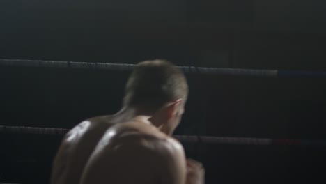 boxer in the ring