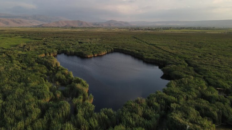 Lago in ambiente naturale