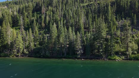 an aerial zoom out of the trees along china cove beach in truckee california. filmed in 4k on a dji air 3s drone.