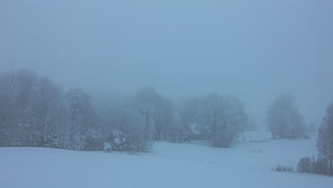 snowstorm in a countryside village surrounded by dense trees