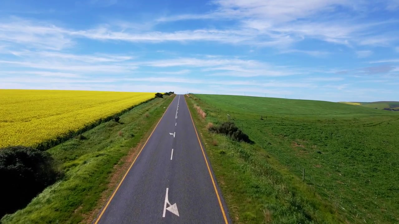Open road through canola fields with a blue sky in the Overberg region of South Africa.