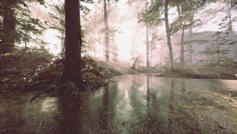 Lago-En-El-Bosque-De-Hoja-Perenne-Majestuoso-Oscuro