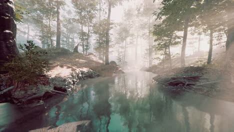 early morning white dense fog covering the pond