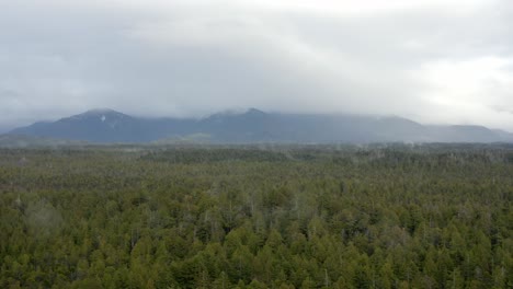 Laubwald-Mit-Nebligen-Bergen-Im-Hintergrund-Nahe-Der-Küste-Von-Tofino-Auf-Der-Insel-Vancouver,-BC,-Kanada