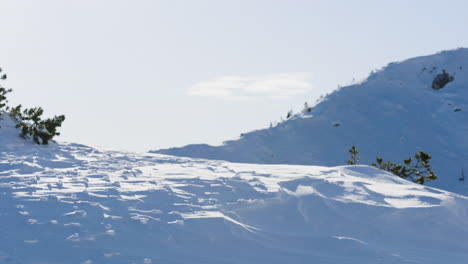 winter mountain landscape in alps