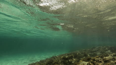 snorkeling in clear shallow waters