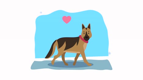 mascota de pastor alemán con animación de corazón