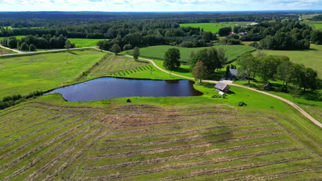 aerial view of a green field with a lake on a summer sunny day.