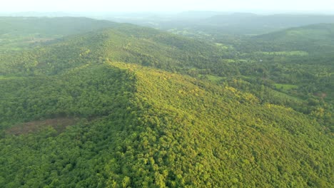 Grün-Wald-Hügel-Oben-Vogelperspektive-Malvan