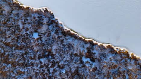 Aerial-view-of-a-snow-covered-field-next-to-a-winding-river,-with-evergreen-trees-scattered-along-the-bank