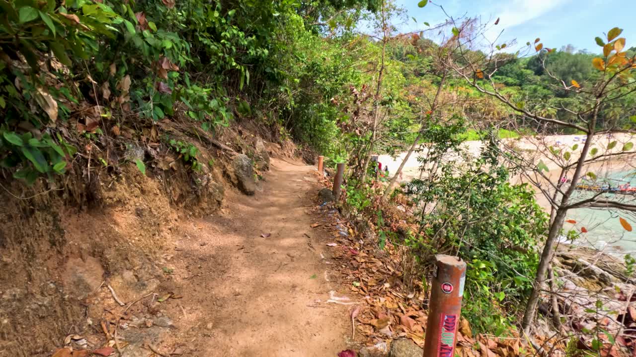 Jungle Trail to Beach