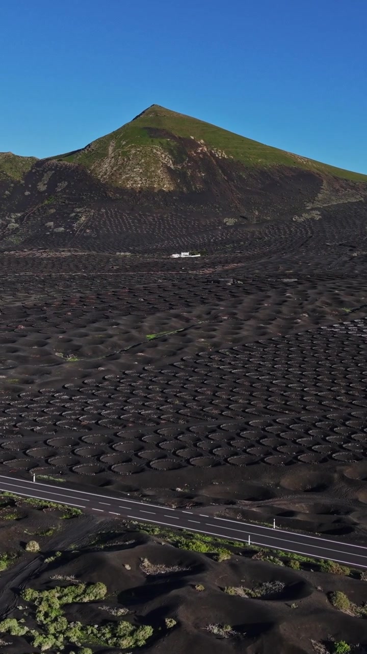 Paesaggio di vigneti su terreno vulcanico a Lanzarote, Spagna, durante il giorno.