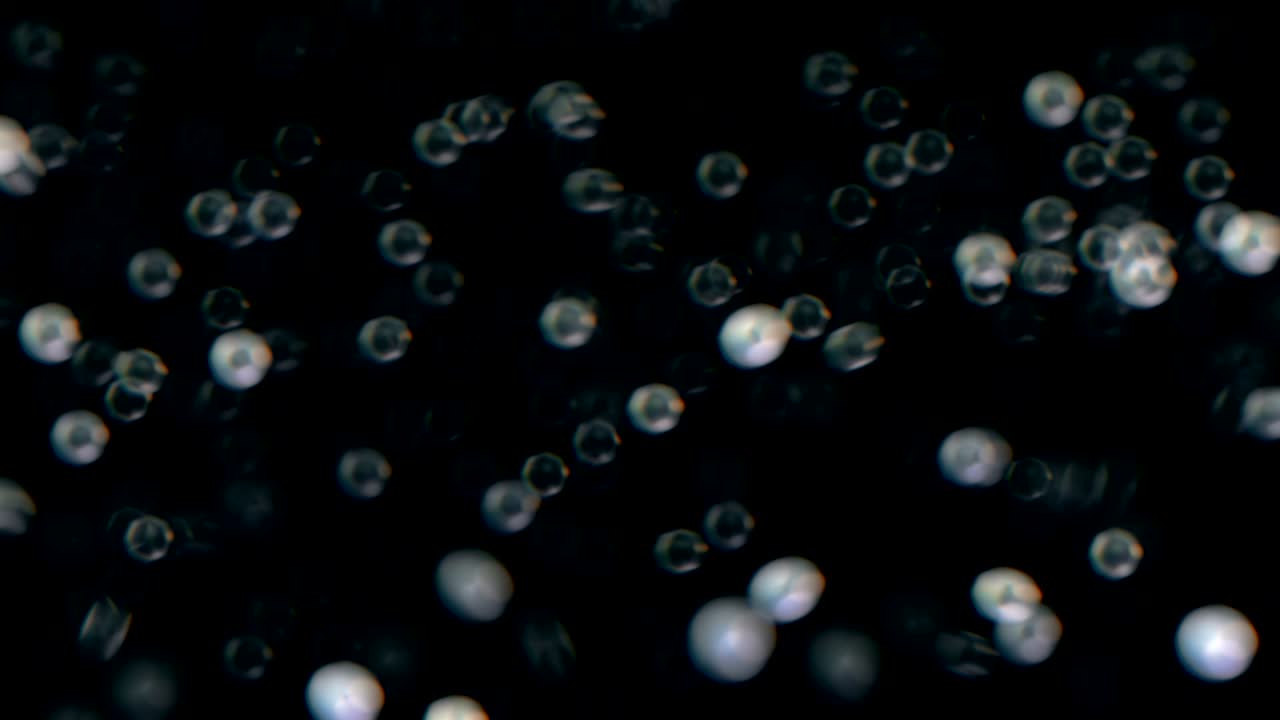 High quality animation of blurred abstract Christmas background with silver bokeh defocused lights. Seamless loop