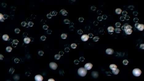 animación de alta calidad de fondo de navidad abstracto borroso con luces desfocalizadas de bokeh plateado. bucle sin costuras