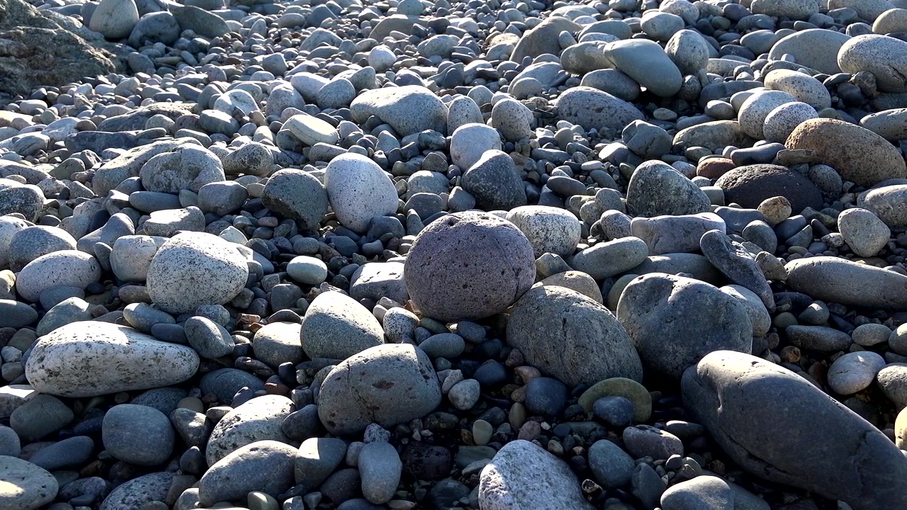 Glatte småsteiner og steiner på en solrik strandlinje