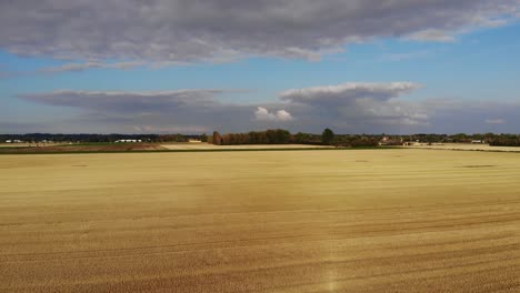 aerial view of golden fields with brown mold close to sejerøbugten in odsherred