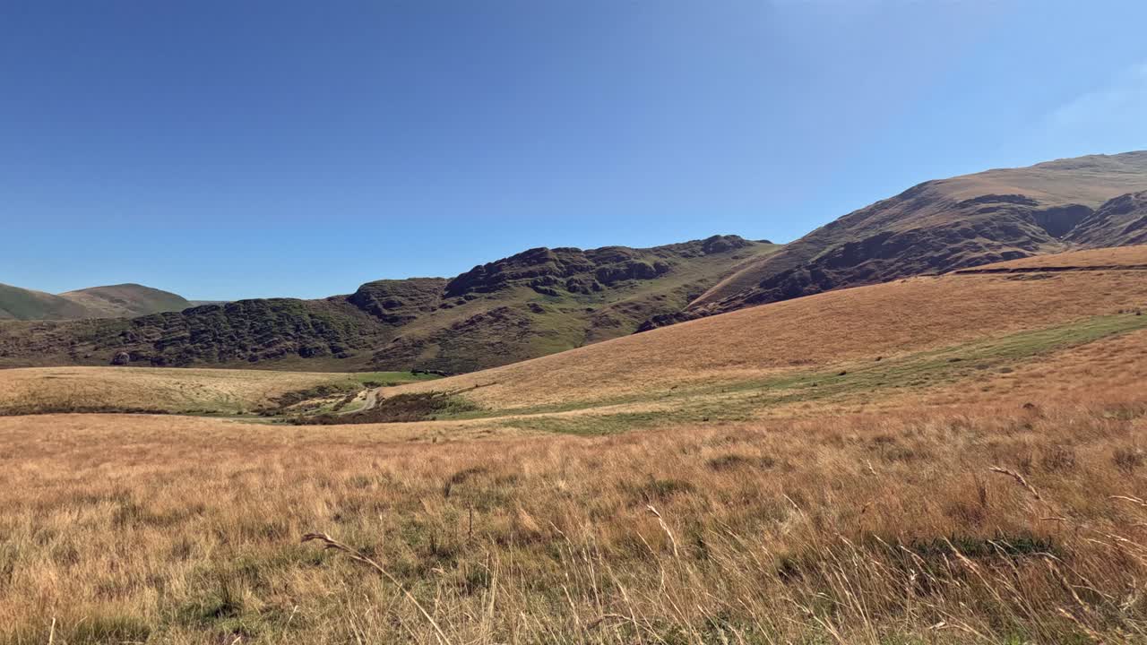 Golden mountain meadow grass blows in breeze on sunny Pyrenees day