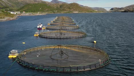 Aerial-footage-Farm-salmon-fishing-in-Norway