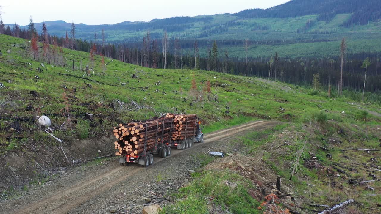 se revela la economía forestal: el camión de tala traslada la madera cosechada