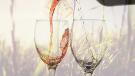 animación de vino blanco y rosa vertiendo en vaso en el fondo con árboles