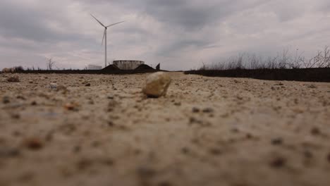 view of clean and renewable wind power farm