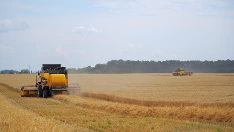 combine harvester at work harvesting a field of wheat. agricultural machinery theme.