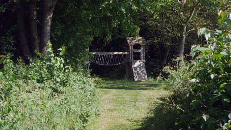 hidden children's playground in the woods surrounded by green grass