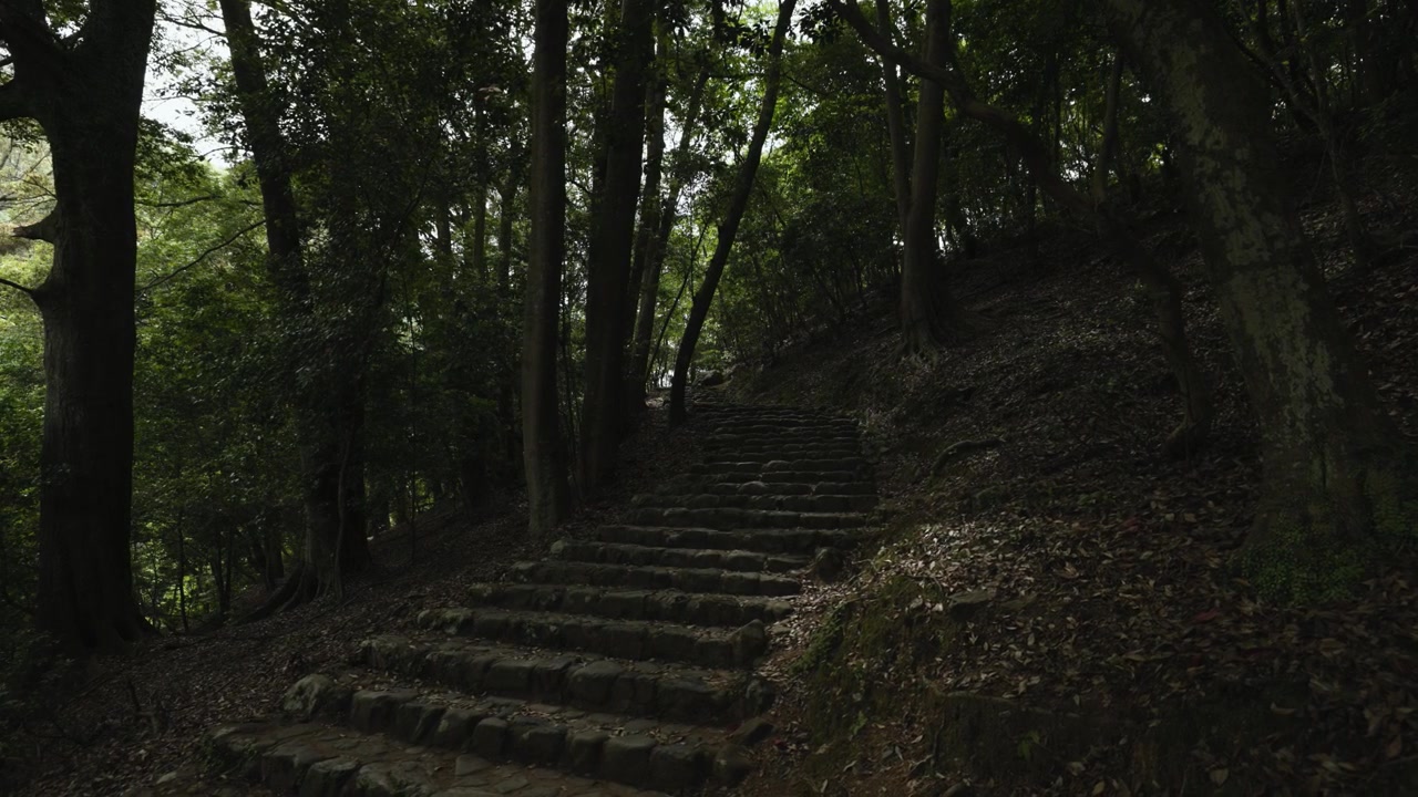 Stone stairs in Kyoto forest, Japan