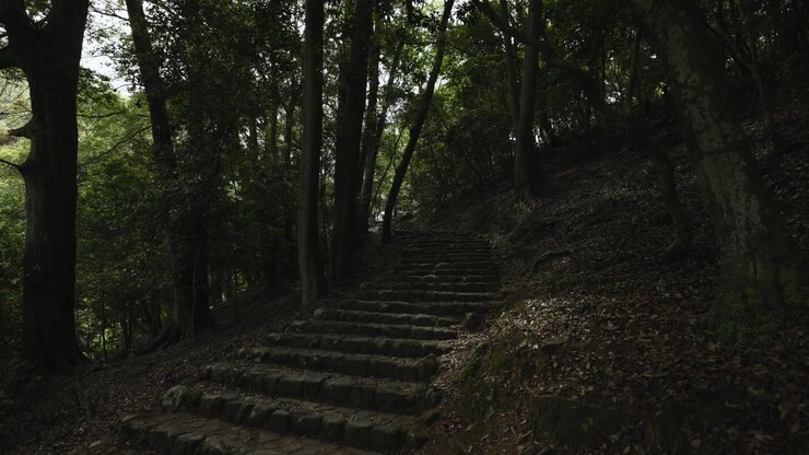 Stone stairs in Kyoto forest, Japan