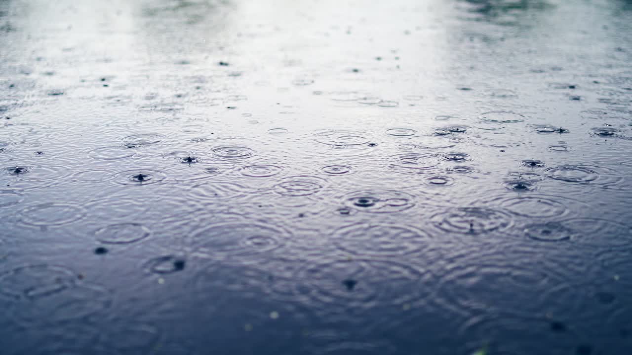 Rain drops fall on water surface of pond, lake or river forming a uniform background.