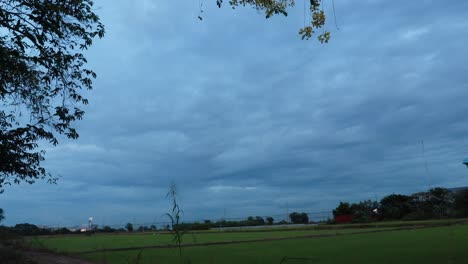 moving cloud and blue sky over rice field in at evening thailand, time lapse