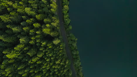 Clackamas-fluss-Mit-Grünem-Wald-Während-Eines-Sonnenuntergangs