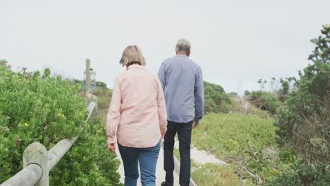 Smiling-senior-caucasian-couple-with-two-dogs-walking-on-path-outdoors