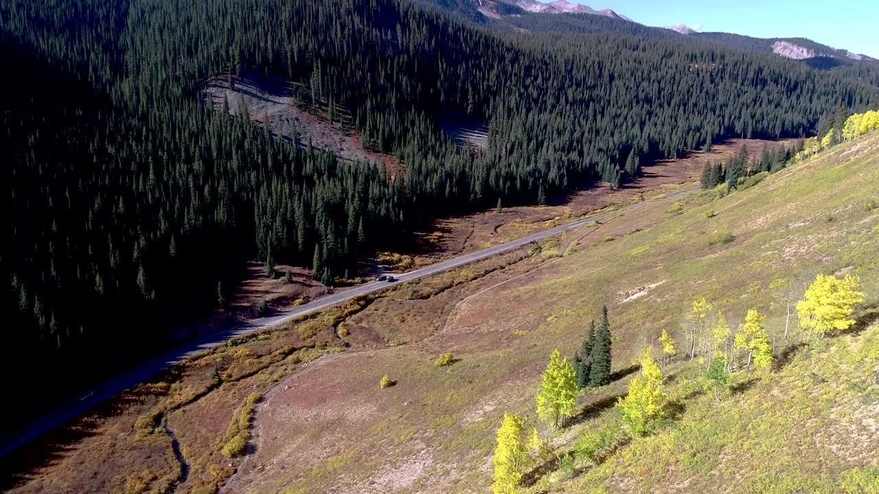 Strada attraverso bellissime foreste di pioppi tremuli.